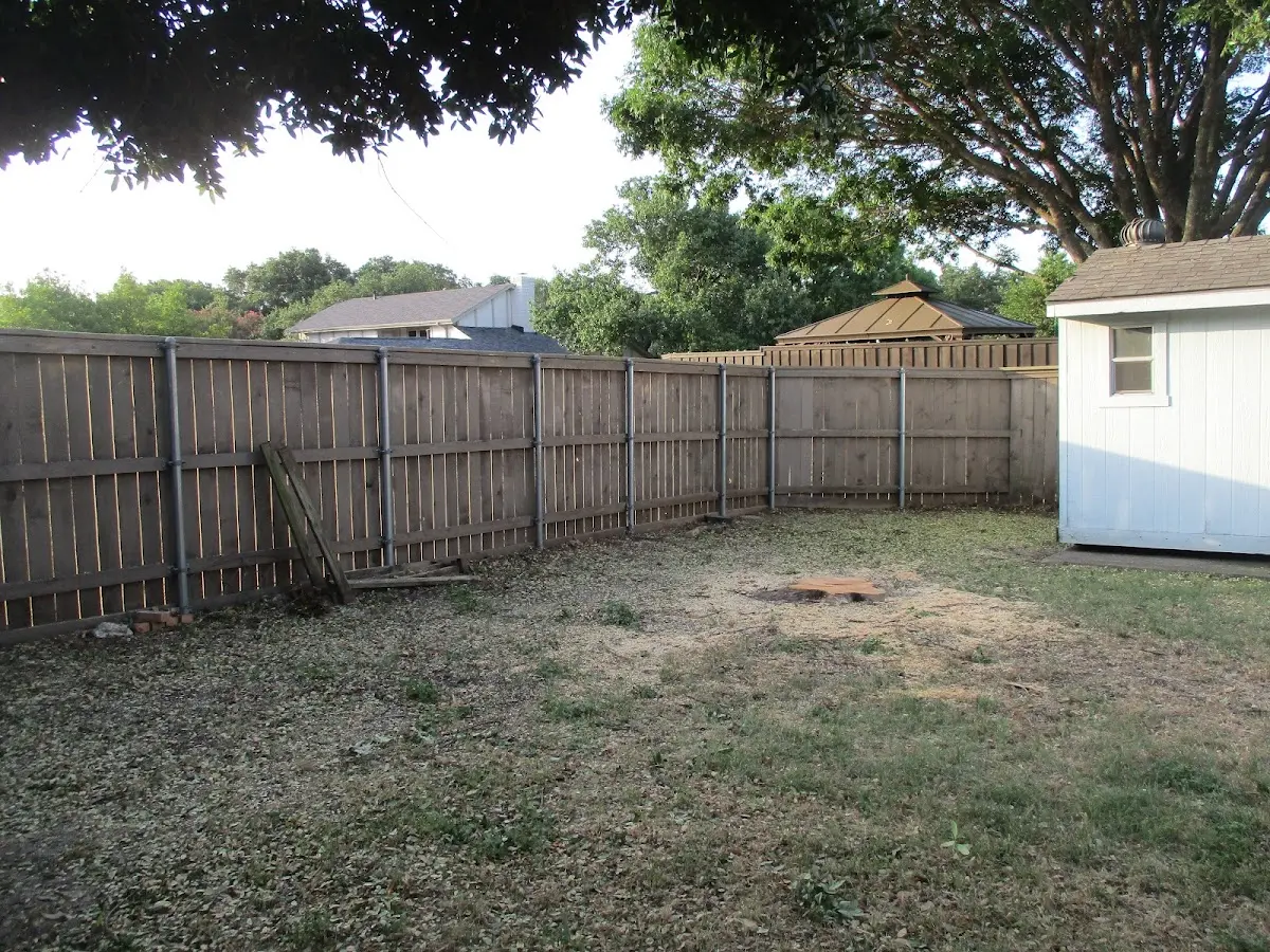 Cleared yard after professional tree removal in Mulhall