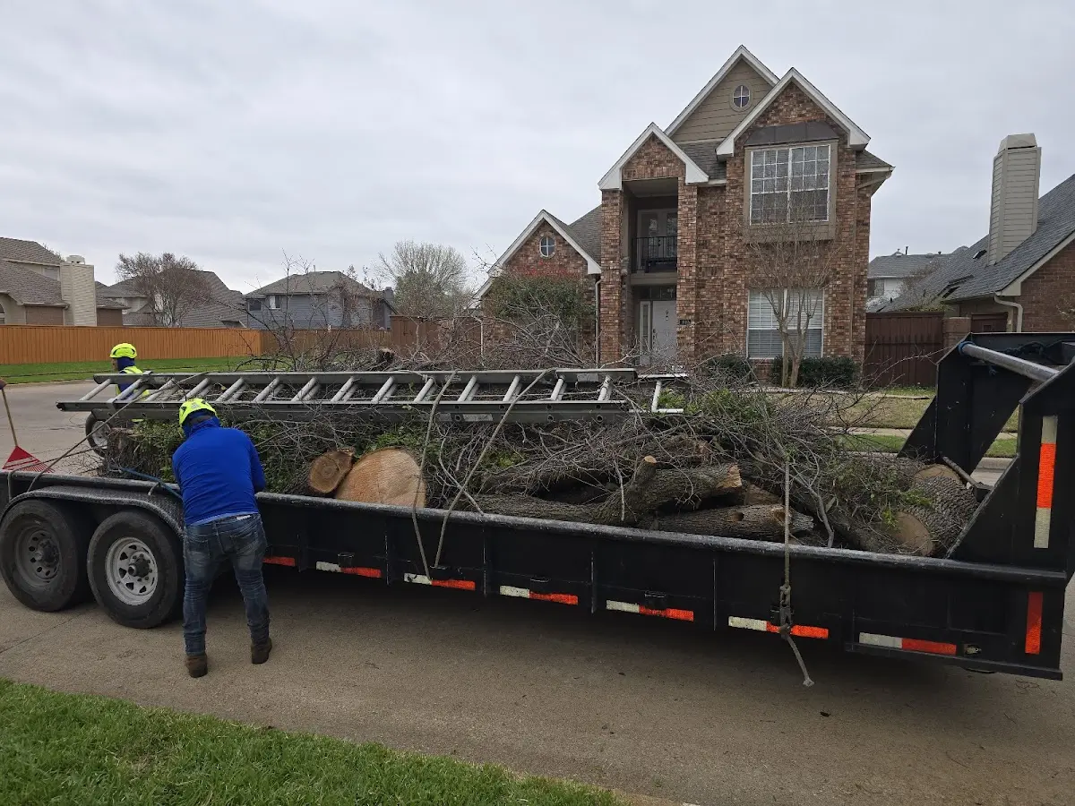Expert Lot Clearing with proper safety equipment in Mulhall